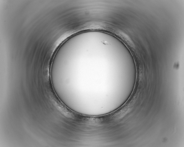 X0000093391226200711011304