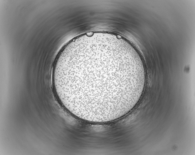 X0000093391227200711011304