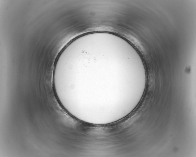 X0000093391228200711011304