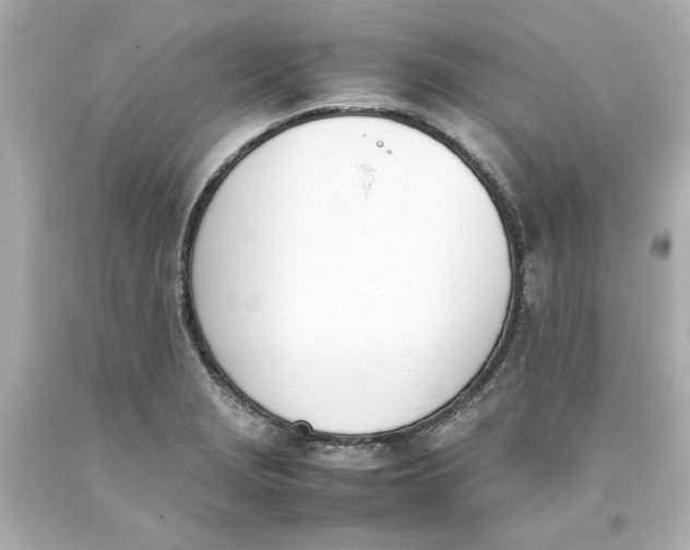 X0000093391229200711011304