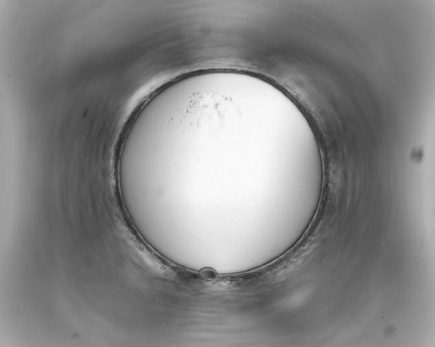 X0000093391230200711011304