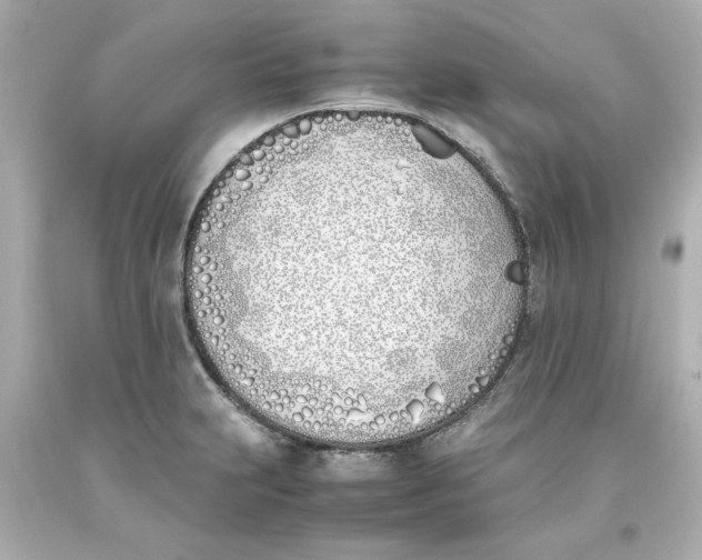 X0000093391231200711011304