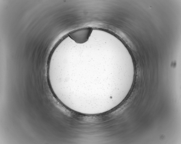 X0000093391232200711011304