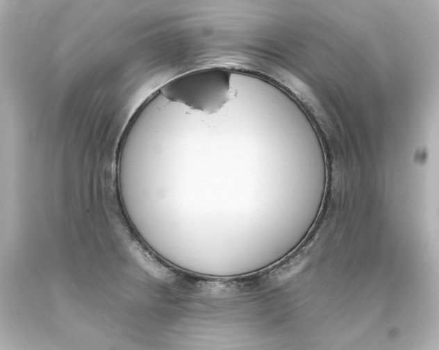 X0000093391234200711011304