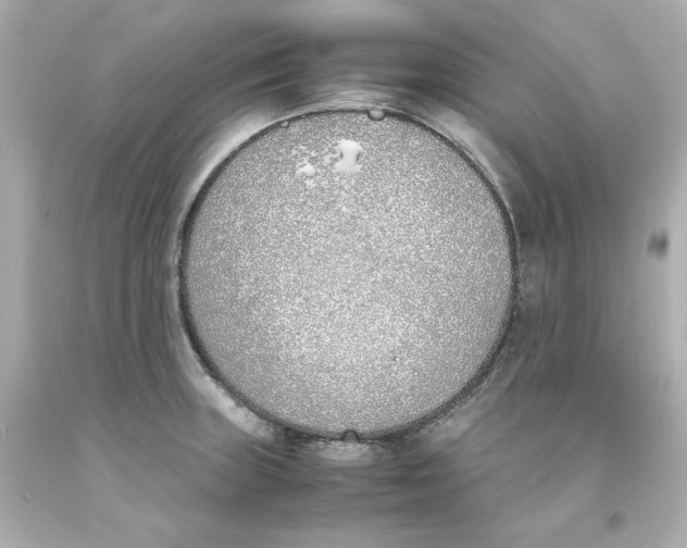 X0000093391235200711011304