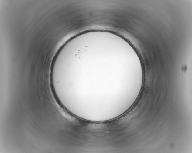 X0000093391237200711011304