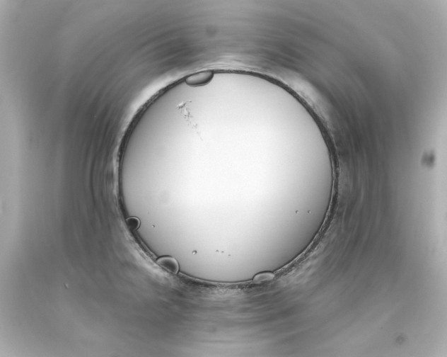 X0000093391238200711011304