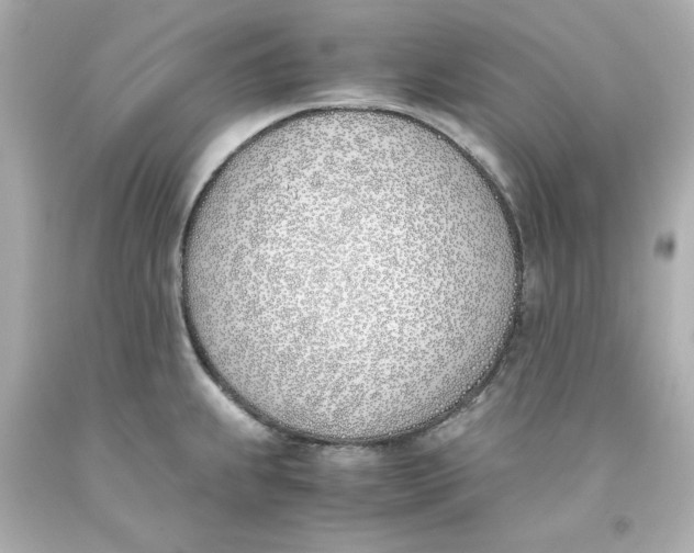 X0000093391239200711011304