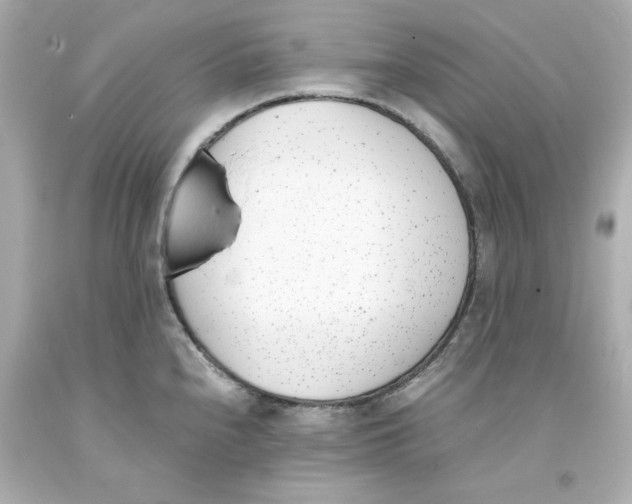 X0000093391240200711011304