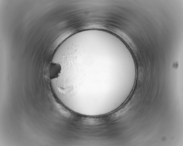 X0000093391241200711011304