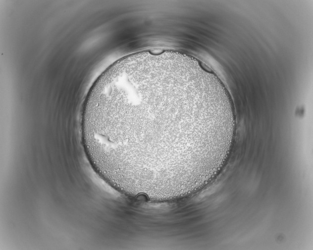 X0000093391243200711011304