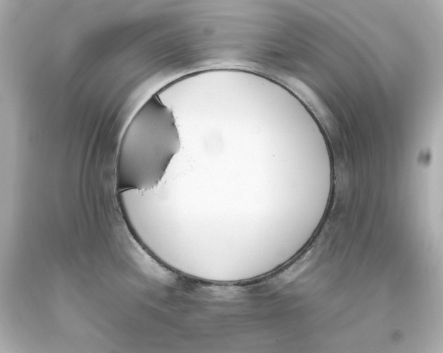 X0000093391244200711011304