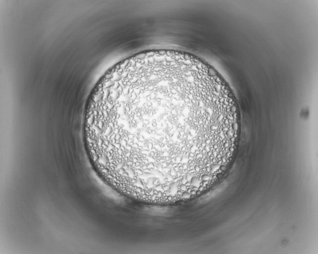 X0000093391245200711011304