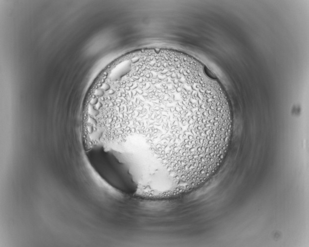 X0000093391247200711011304