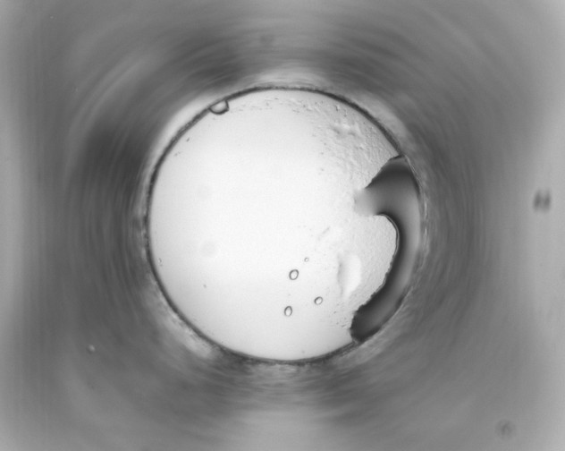 X0000093391248200711011304