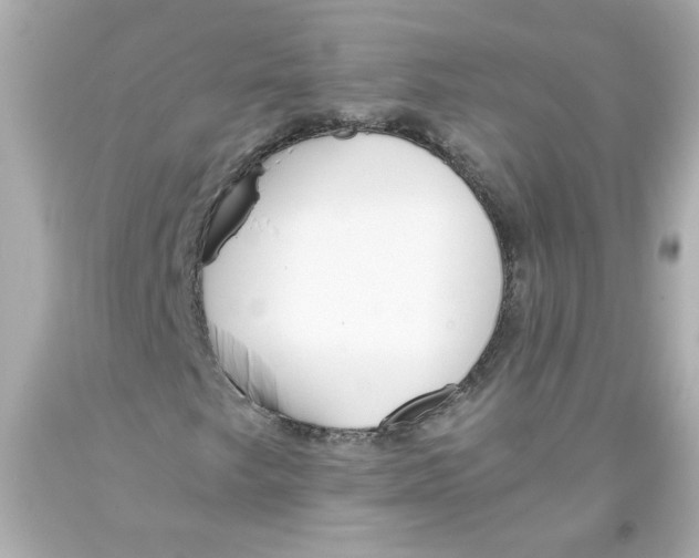 X0000093391249200711011303