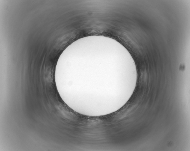 X0000093391250200711011303