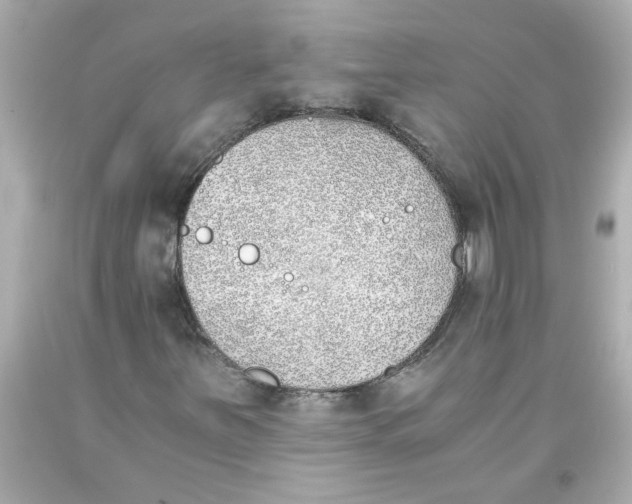 X0000093391251200711011303