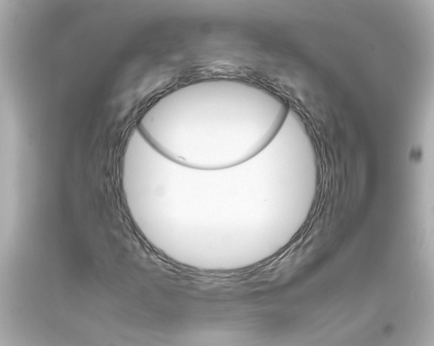 X0000093391253200711011303