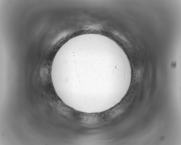 X0000093391254200711011303