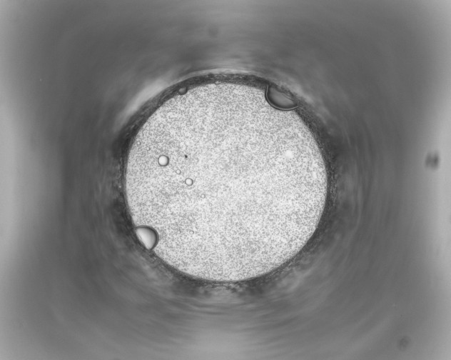 X0000093391255200711011303