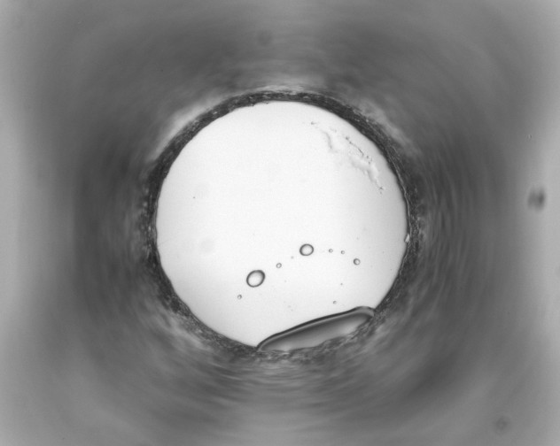 X0000093391256200711011303