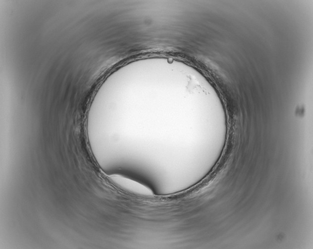 X0000093391257200711011303