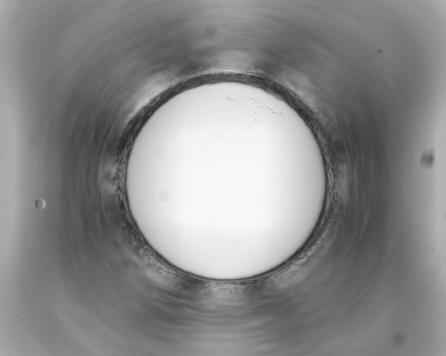 X0000093391258200711011303