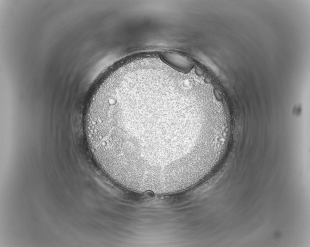 X0000093391259200711011303