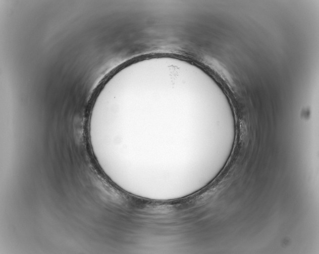 X0000093391260200711011303