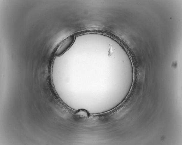 X0000093391261200711011303