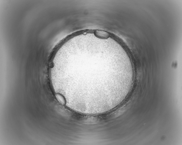 X0000093391263200711011303