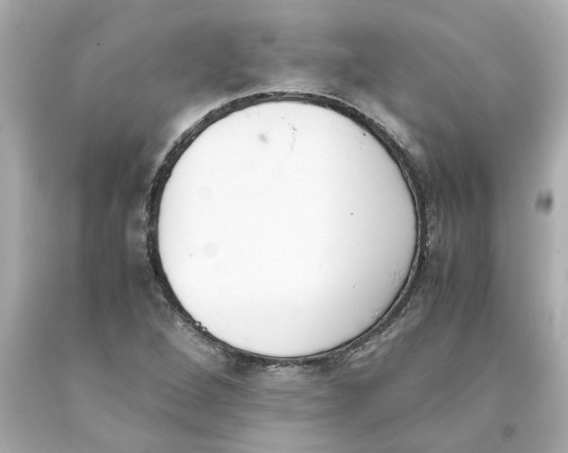 X0000093391264200711011303