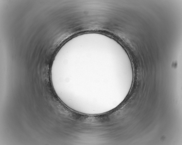 X0000093391265200711011303