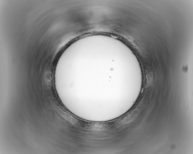 X0000093391266200711011303