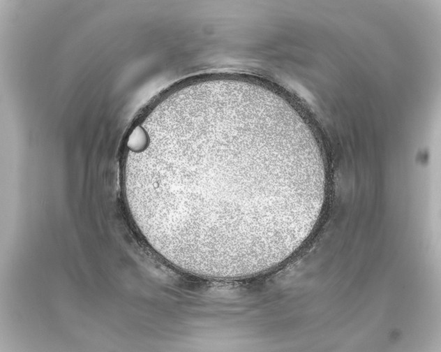 X0000093391267200711011303