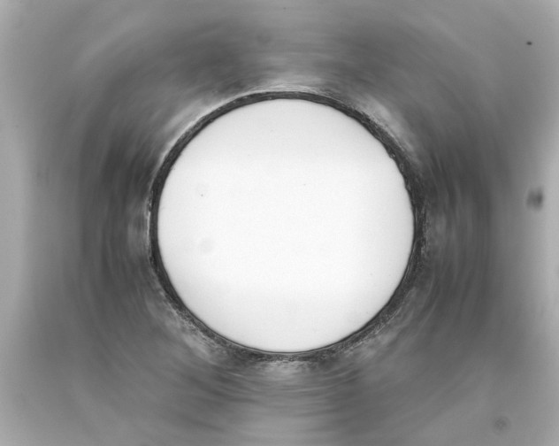 X0000093391268200711011303