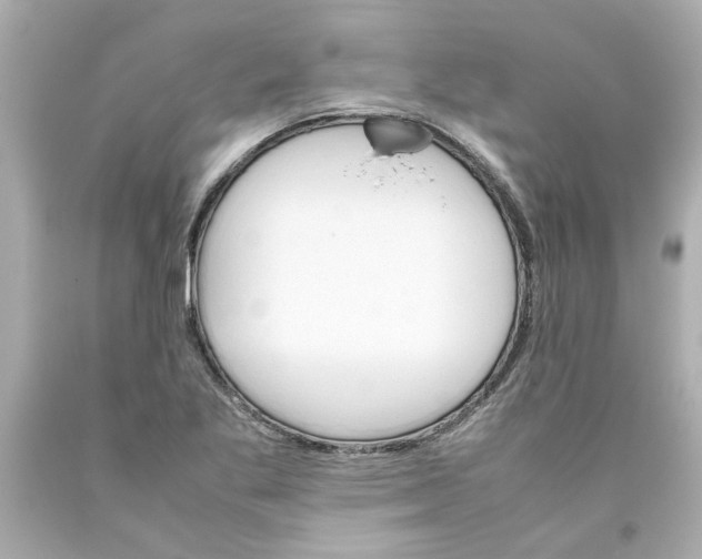 X0000093391269200711011303