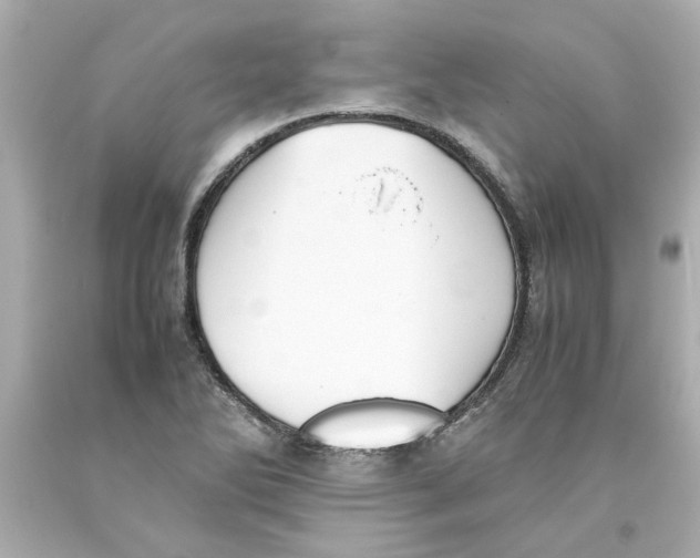 X0000093391270200711011303