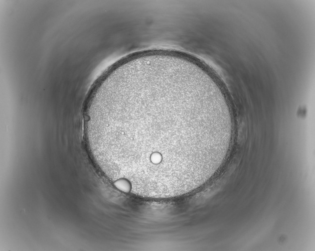 X0000093391271200711011303