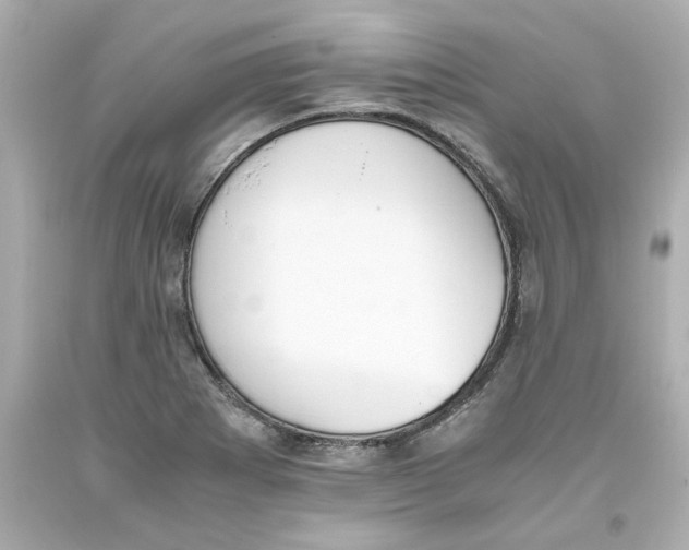 X0000093391273200711011303