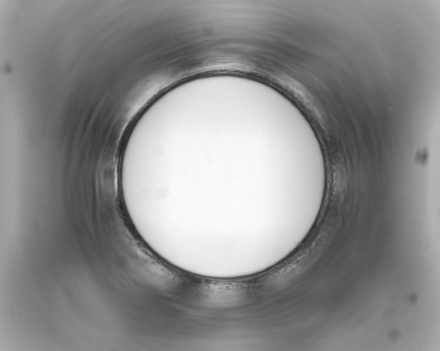 X0000093391274200711011303