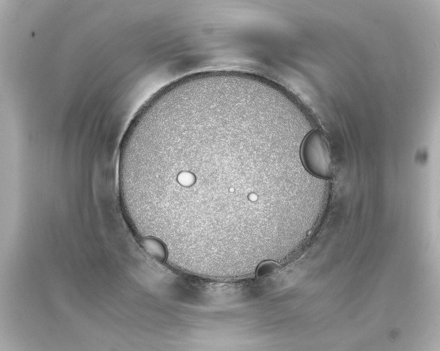 X0000093391275200711011303