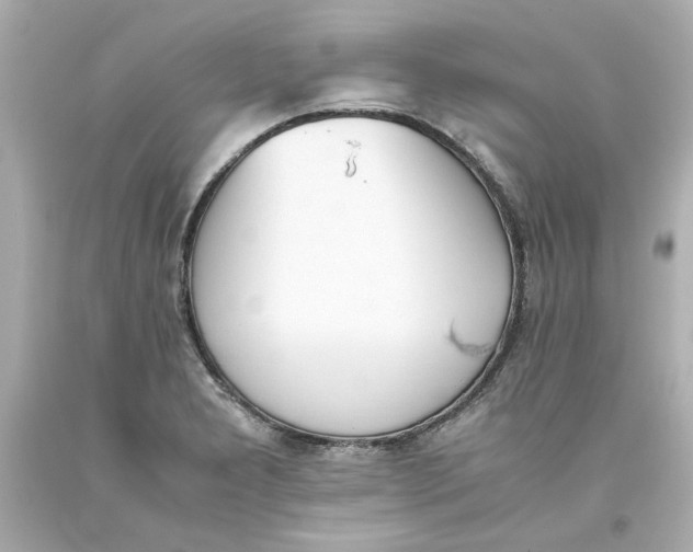 X0000093391277200711011303