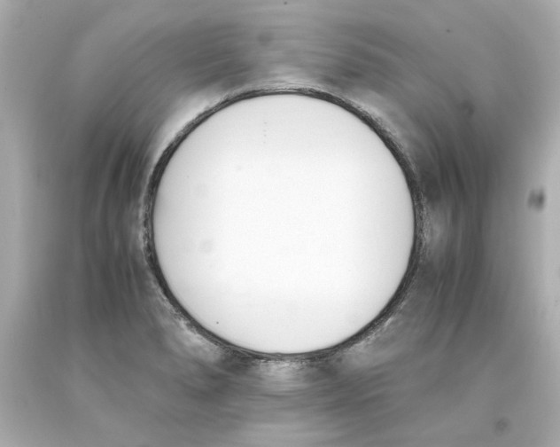 X0000093391278200711011303