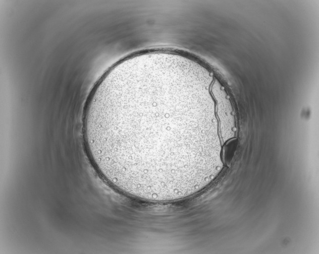 X0000093391279200711011303