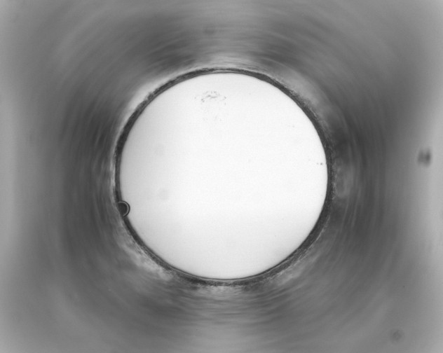 X0000093391280200711011303