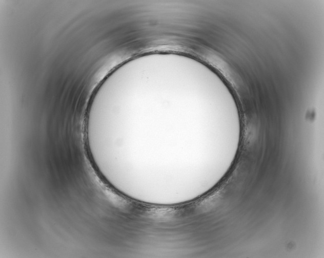 X0000093391282200711011303