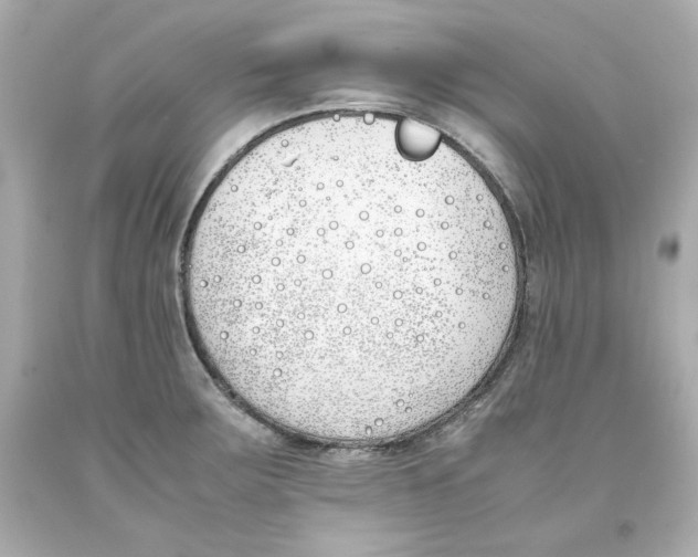 X0000093391283200711011303