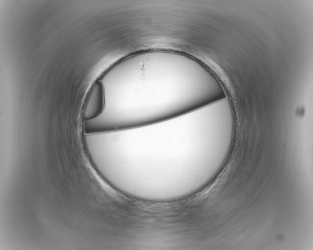 X0000093391285200711011303